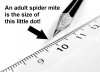 spider-mite-size-scale.jpg